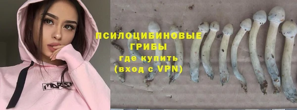 Альфа ПВП Алзамай