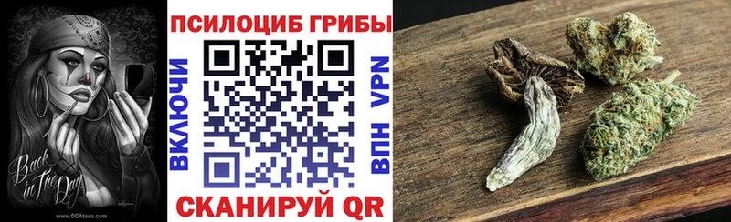 Галлюциногенные грибы мухоморы Сенгилей