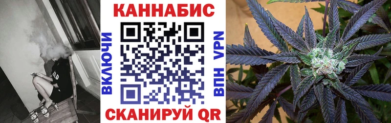 Бошки Шишки ГИДРОПОН  купить   Сенгилей 